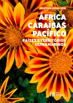 Atividades do BEI em África, Caraíbas, Pacífico, bem como nos países e territórios ultramarinos (eBook, ePUB)