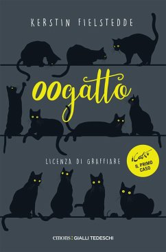 00gatto (eBook, ePUB) - Fielstedde, Kerstin
