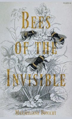 Bees of the Invisible - Donicht, Maximiliane