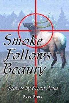 Smoke Follows Beauty - Ames, Brian
