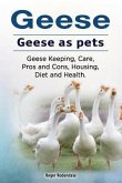 Geese. Geese as pets. Geese Keeping, Care, Pros and Cons, Housing, Diet and Health.