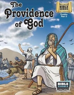The Providence of God: Old Testament Volume 8: Exodus Part 3 - Piepgrass, Arlene; International, Bible Visuals