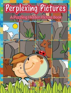 Perplexing Pictures: A Puzzling Hidden Picture Book - Books, Activity Attic