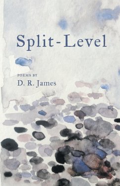 Split-Level - James, D. R.