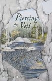 Piercing the Veil