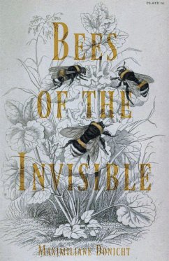 Bees of the Invisible - Donicht, Maximiliane