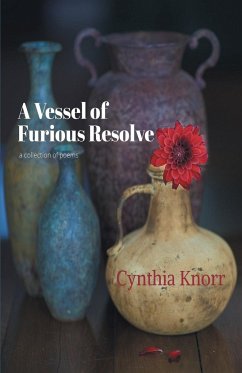 A Vessel of Furious Resolve - Knorr, Cynthia