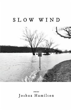 Slow Wind - Hamilton, Joshua