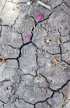 when the light of any action ceases - Walker, Anne F.