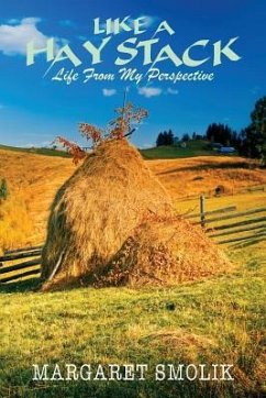 Like a Haystack: Life from my Perspective - Smolik, Margaret