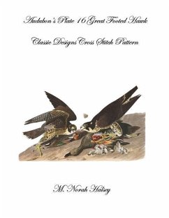 Audubon's Plate 16 Great Footed Hawk: Classic Designs Cross Stitch Pattern - Halsey, M. Norah