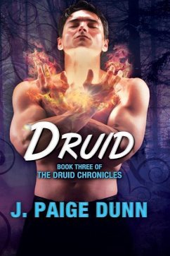 Druid: Book Three of the Druid Chronicles - Dunn, J. Paige