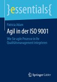 Agil in der ISO 9001 (eBook, PDF)