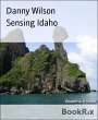Sensing Idaho (eBook, ePUB) - Bild 1