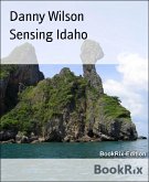 Sensing Idaho (eBook, ePUB)