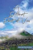 A Different Point of View (eBook, ePUB)