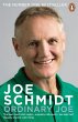 Ordinary Joe (eBook, ePUB) - Bild 1