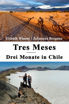 Cover Tres Meses (eBook, ePUB)