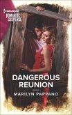 Dangerous Reunion (eBook, ePUB)