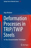 Deformation Processes in TRIP/TWIP Steels