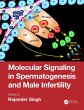 Molecular Signaling in Spermatogenesis... - Bild 1