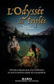 L'Odyssée des triplés, Tome 1, Origine Celtique