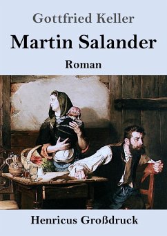 Cover Martin Salander (Großdruck)