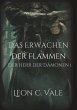 Das Erwachen der Flammen - Bild 1