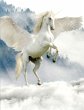 Unicorn Notebook - Bild 1