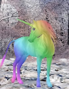 Unicorn Notebook - Rwg