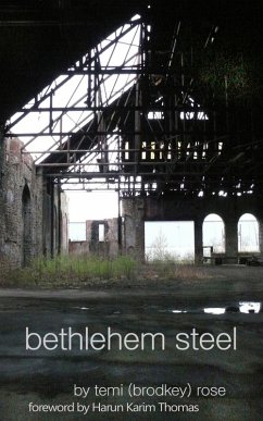 Cover Bethlehem Steel - Cold and Colder (eBook, ePUB)