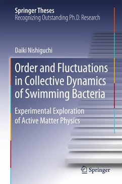 Order and Fluctuations in Collective Dynamics of Swimming Bacteria - Nishiguchi, Daiki