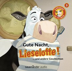 Gute Nacht, Lieselotte! / Lieselotte Filmhörspiele Bd.3 (1 Audio-CD) - Steffensmeier, Alexander;Krämer, Fee