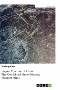 Impact Fracture of Glass. The Combined Finite-Discrete Element Study