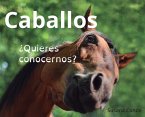 Caballos