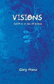 Visions: Adrift In A Sea Of Echoes