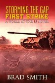 Storming the Gap First Strike (eBook, ePUB)