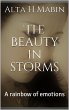 The Beauty In Storms (eBook, ePUB) - Bild 1
