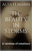 The Beauty In Storms (eBook, ePUB)
