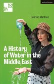 A History of Water in the Middle East (eBook, PDF)