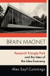 Brain Magnet (eBook, ePUB) - Bild 1