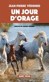 Un Jour d'orage (eBook, ePUB)