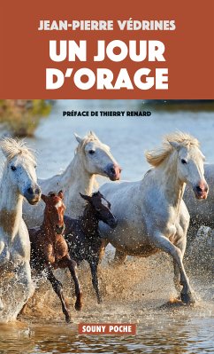 Un Jour d'orage (eBook, ePUB) - Védrines, Jean-Pierre