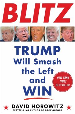 Cover Blitz (eBook, ePUB)