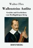 Wallensteins Antlitz