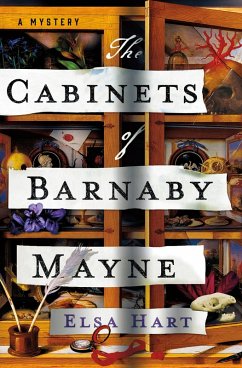 Cover The Cabinets of Barnaby Mayne (eBook, ePUB)