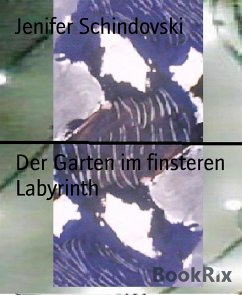 Der Garten im finsteren Labyrinth (eBook, ePUB) - Schindovski, Jenifer