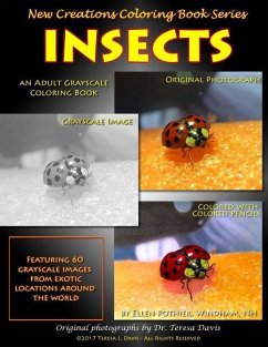 New Creations Coloring Book Series: Insects - Davis, Brad; Davis, Teresa