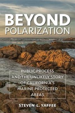 Beyond Polarization - Yaffee, Steven Lewis