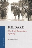 Kildare: The Irish Revolution, 1912-23